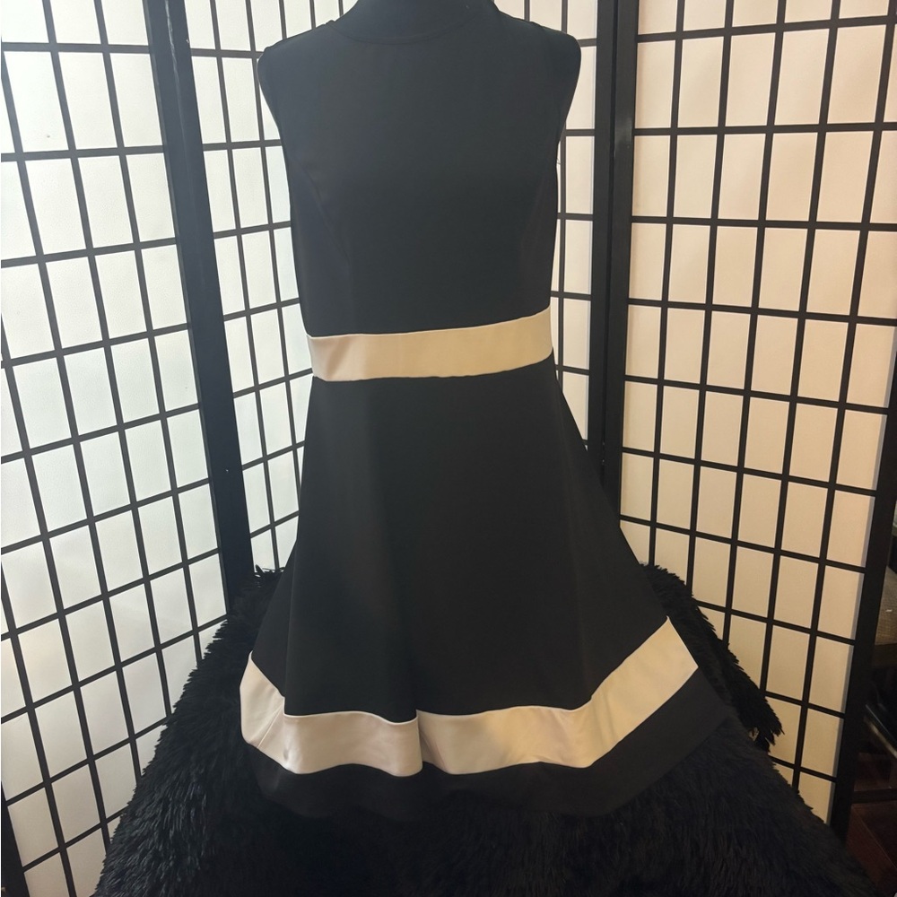 Black and White Sleeveless Fit-and-Flare Dress